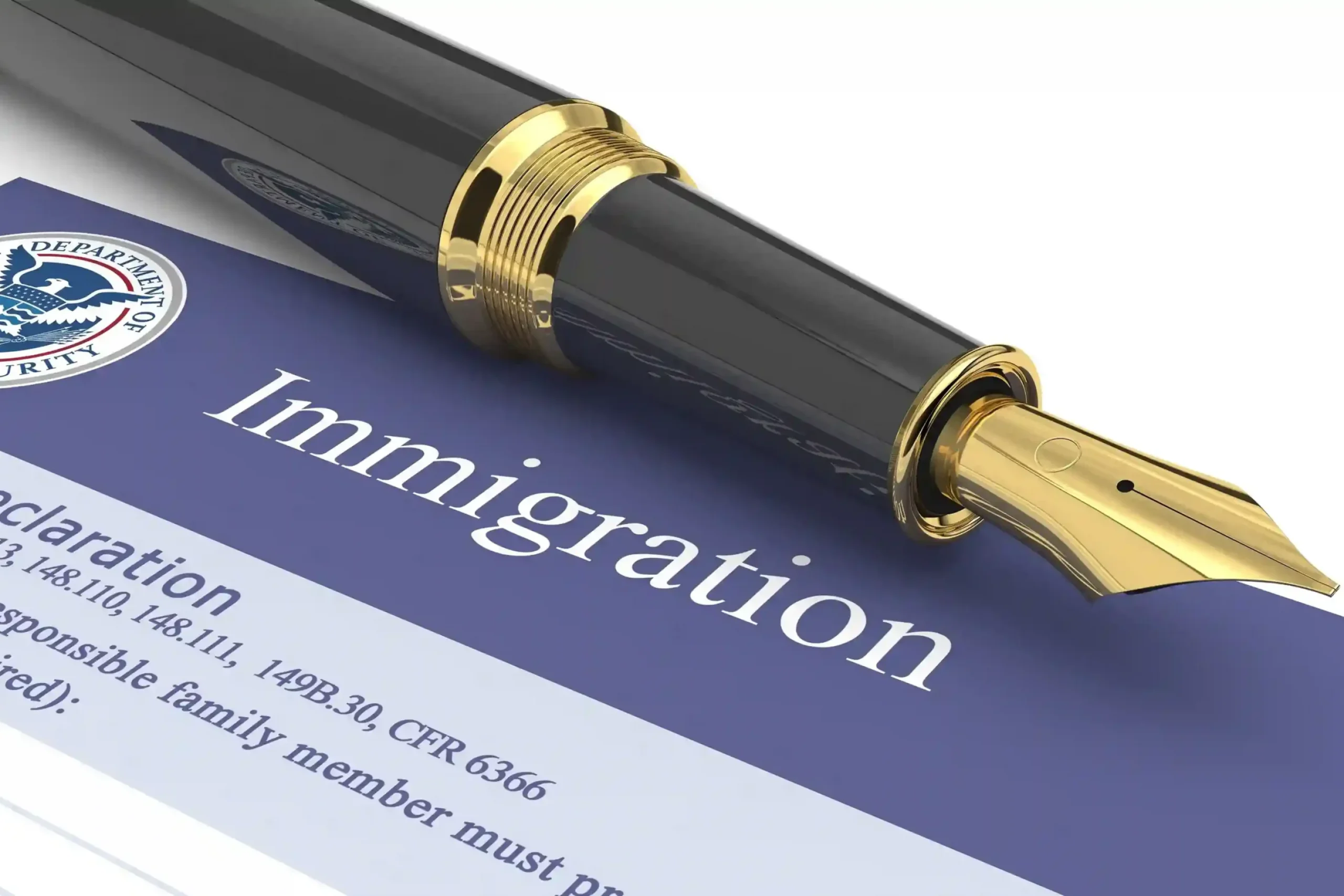 immigration-document-3d-illustration_11zon